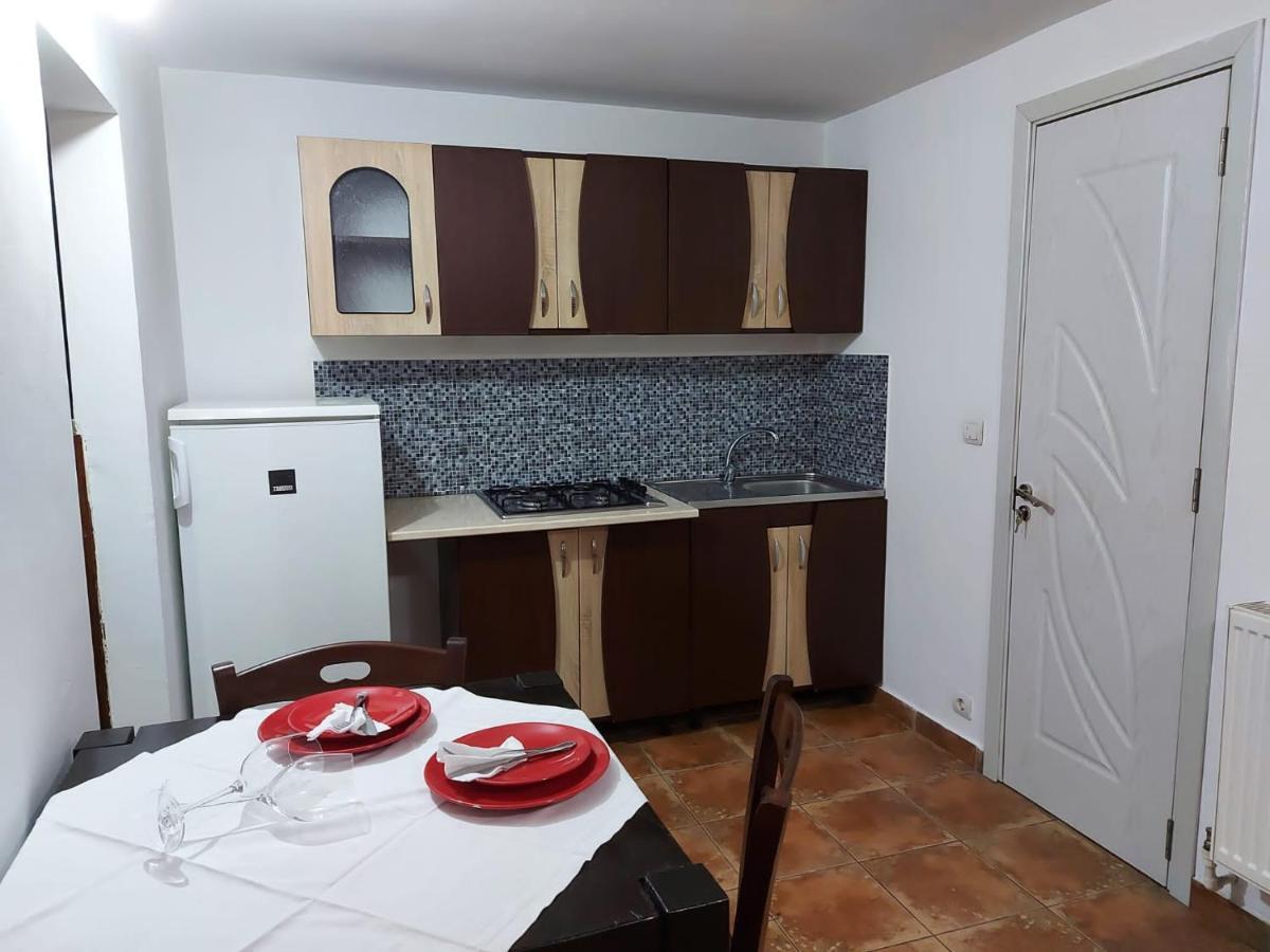 Apartament Studio Legend Pucioasa Zewnętrze zdjęcie