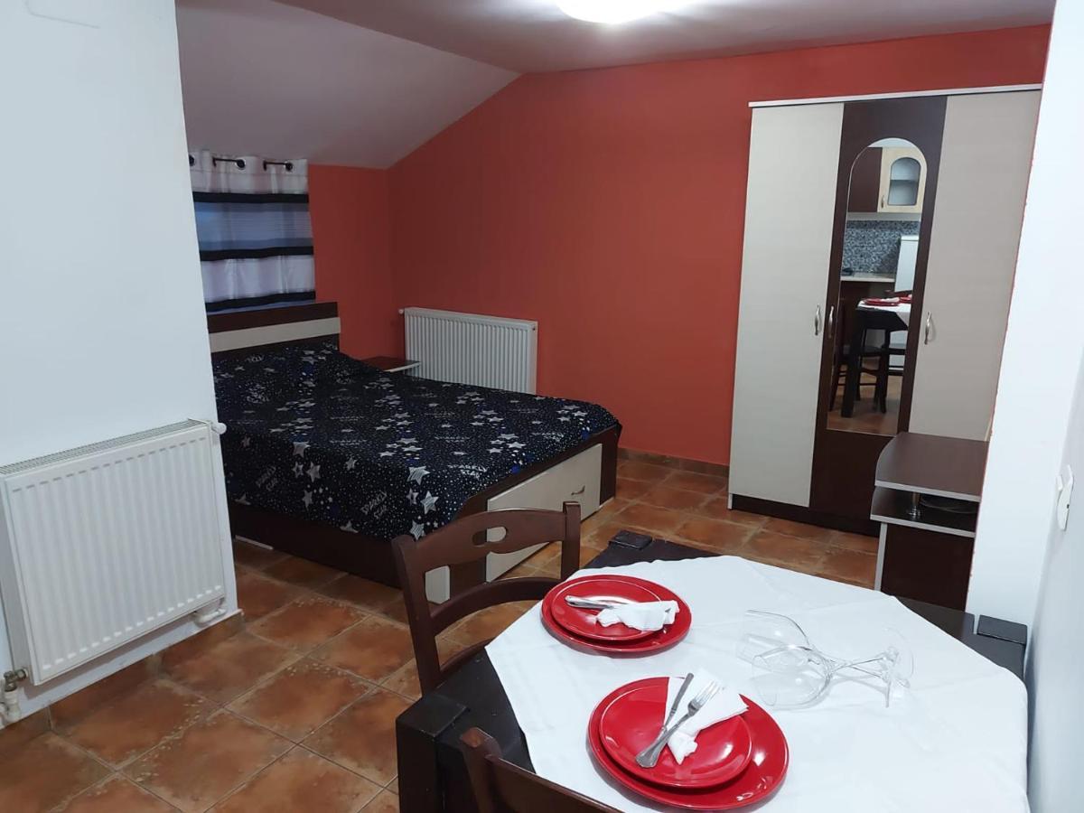 Apartament Studio Legend Pucioasa Zewnętrze zdjęcie